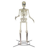 12' Giant-Sized Skeleton