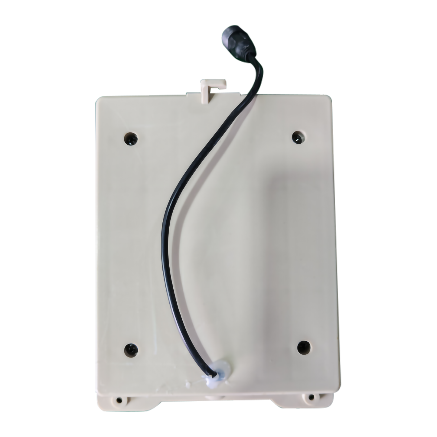 5 ft. LED Skelly's Cat