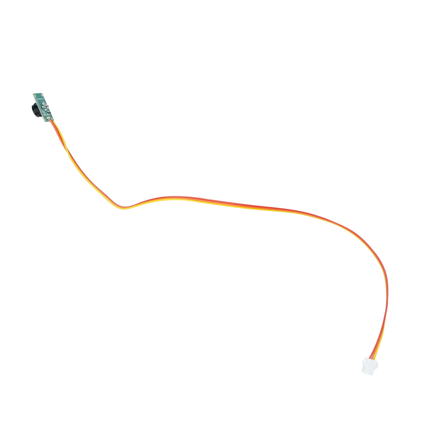 4 ft. Animated LED Cursed Clover