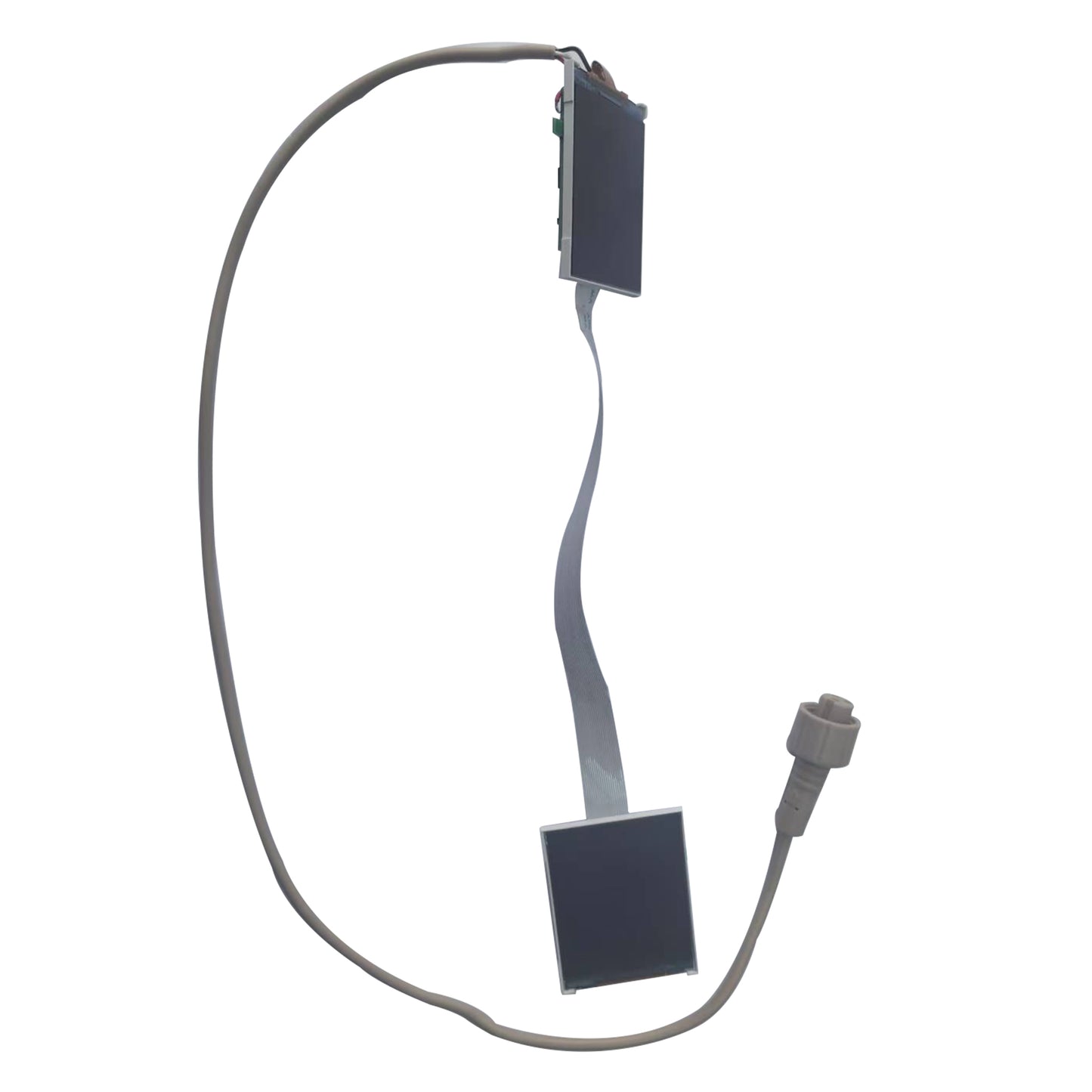 5.5 ft. Skelly's Sitting Dog with LCD Eyes