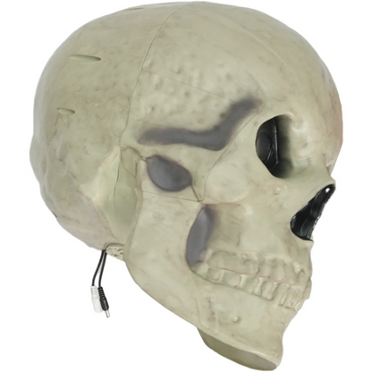 12 ft. Giant-Sized Skelly 2.0