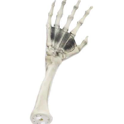 12 ft. Giant-Sized Skelly 2.0