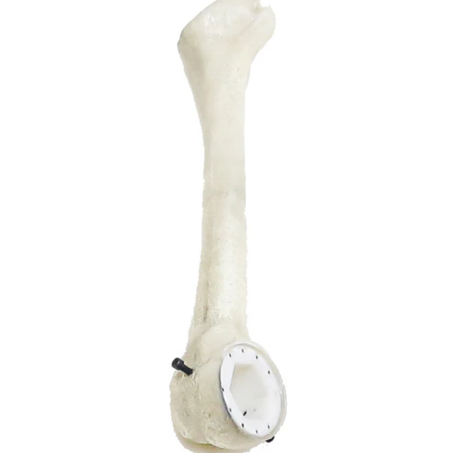 12 ft. Giant-Sized Skelly 2.0