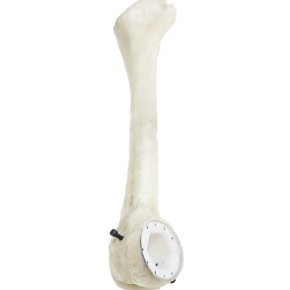 12 ft. Giant-Sized Skelly 2.0