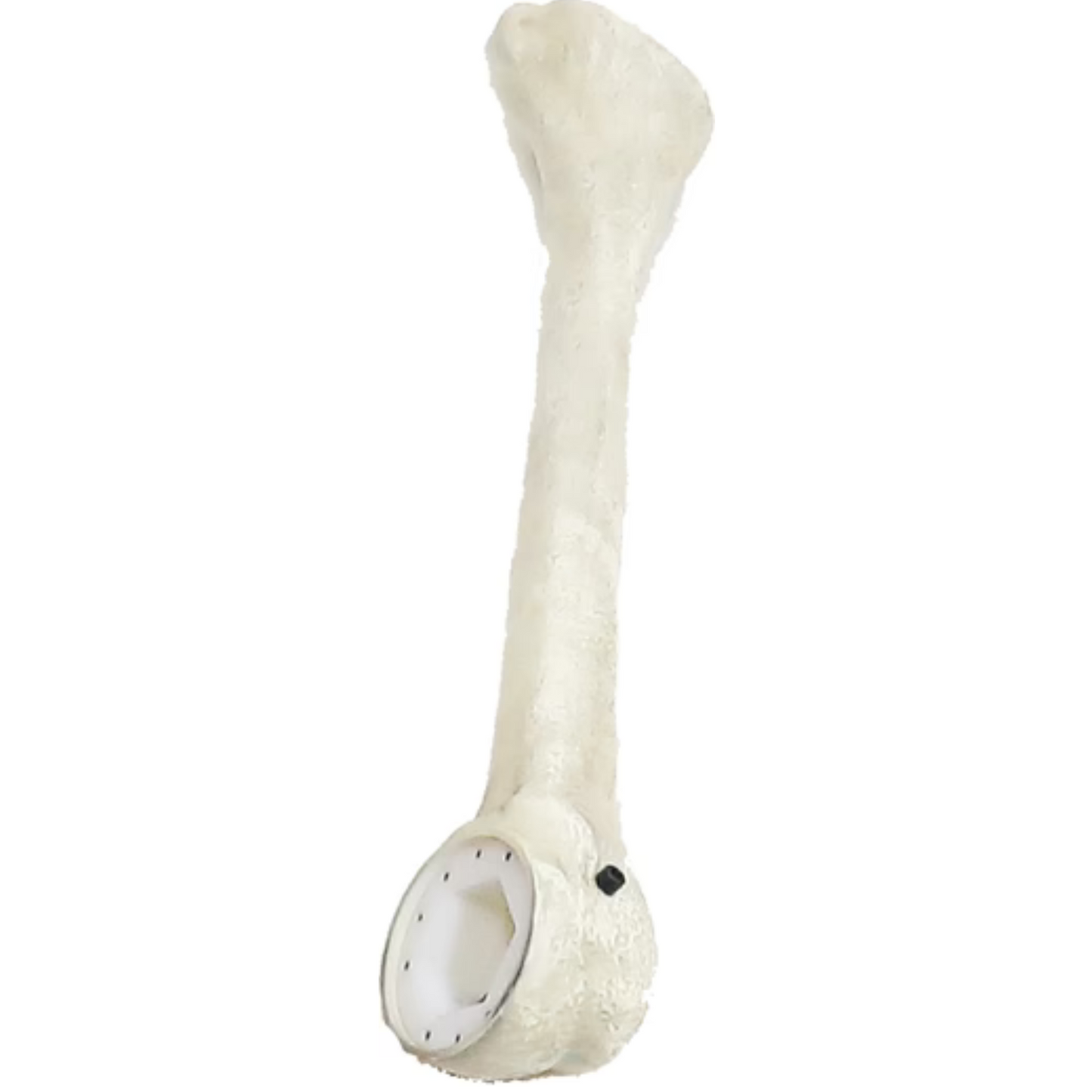 12 ft. Giant-Sized Skelly 2.0