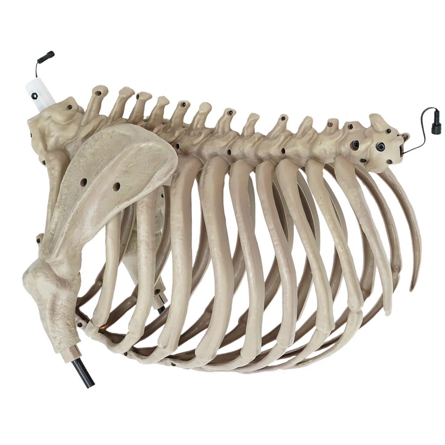 7 ft. Skelly's Dog