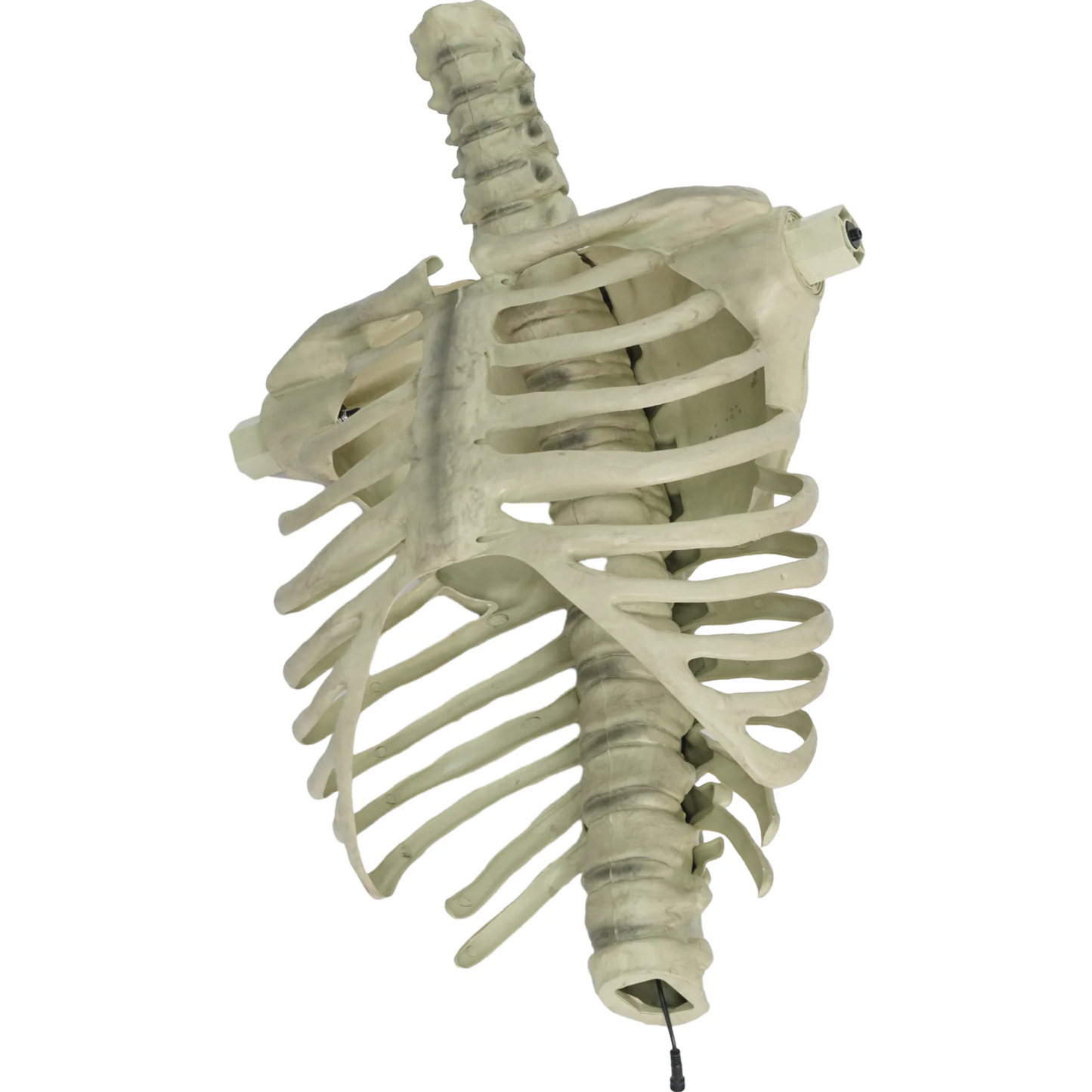 12 ft. Giant-Sized Skelly 2.0