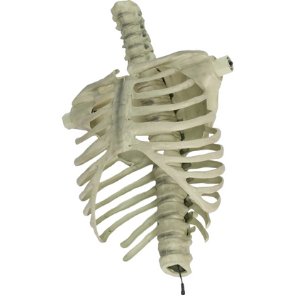 12 ft. Giant-Sized Skelly 2.0
