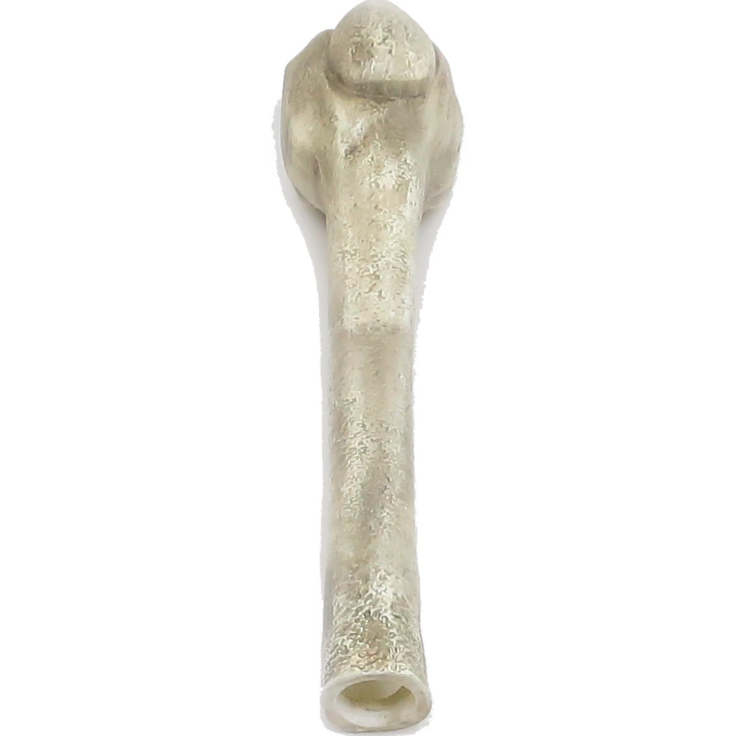 12 ft. Giant-Sized Skelly 2.0