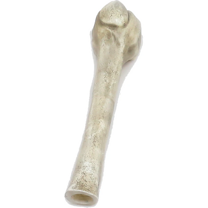 12 ft. Giant-Sized Skelly 2.0