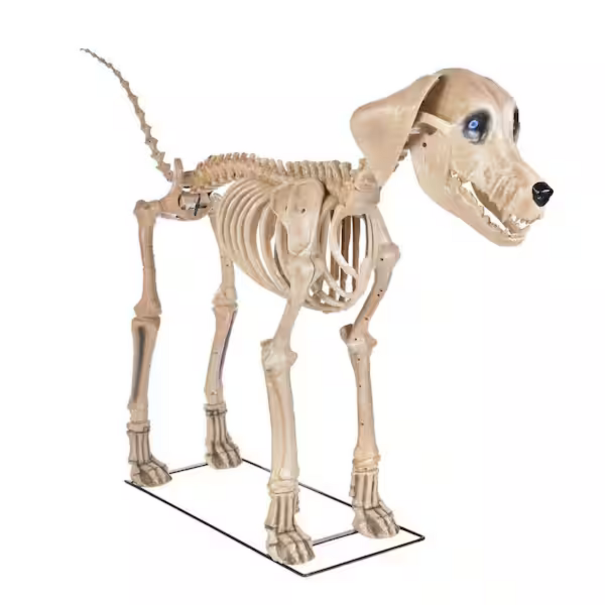 7' Skelly's Dog