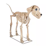 7' Skelly's Dog