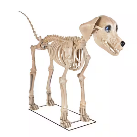 7 ft. Skelly's Dog