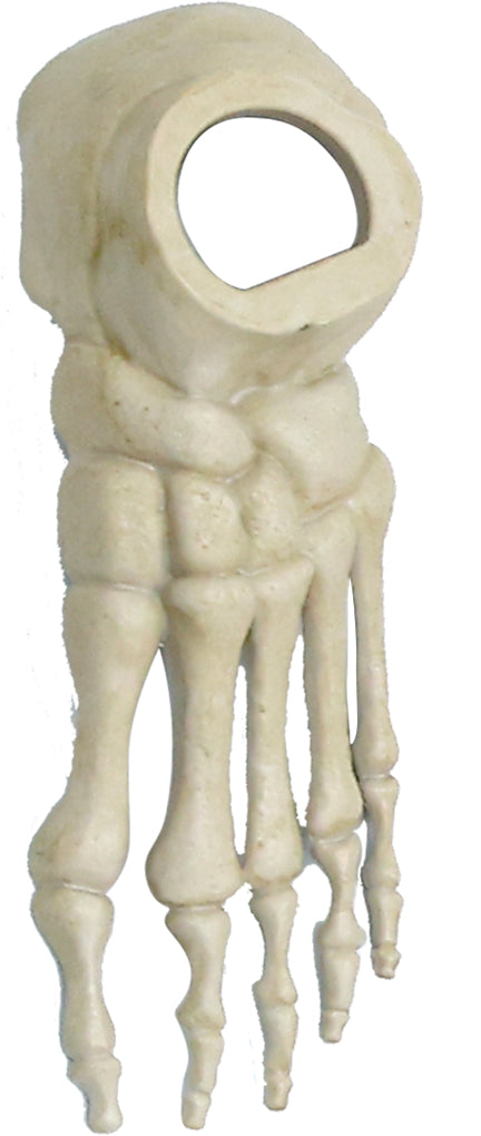 6.5 ft. Animated App Controlled Ultra Skelly