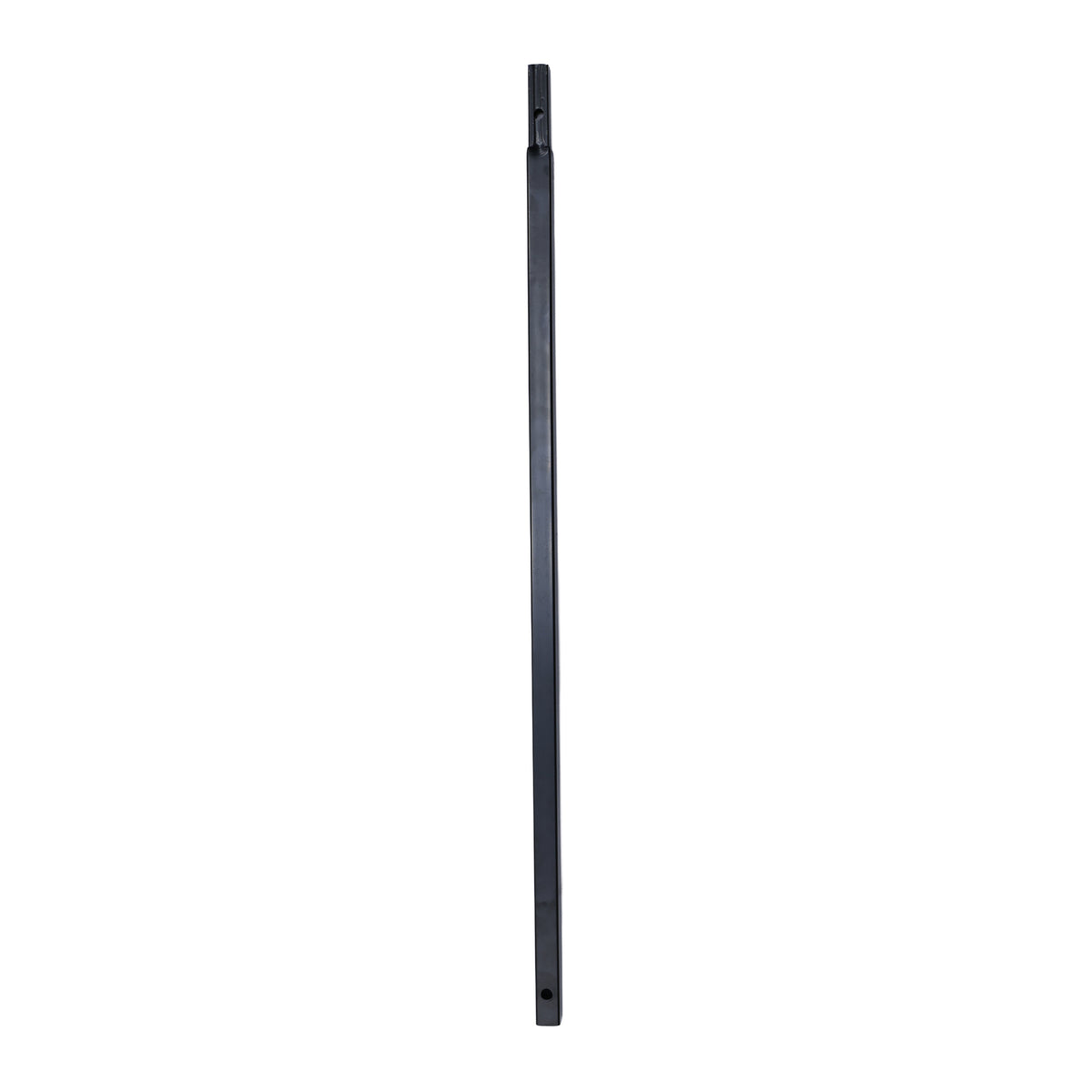 5 ft. Animated LED Rotwing Parrot