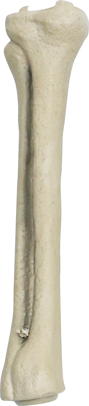 6.5 ft. Animated App Controlled Ultra Skelly