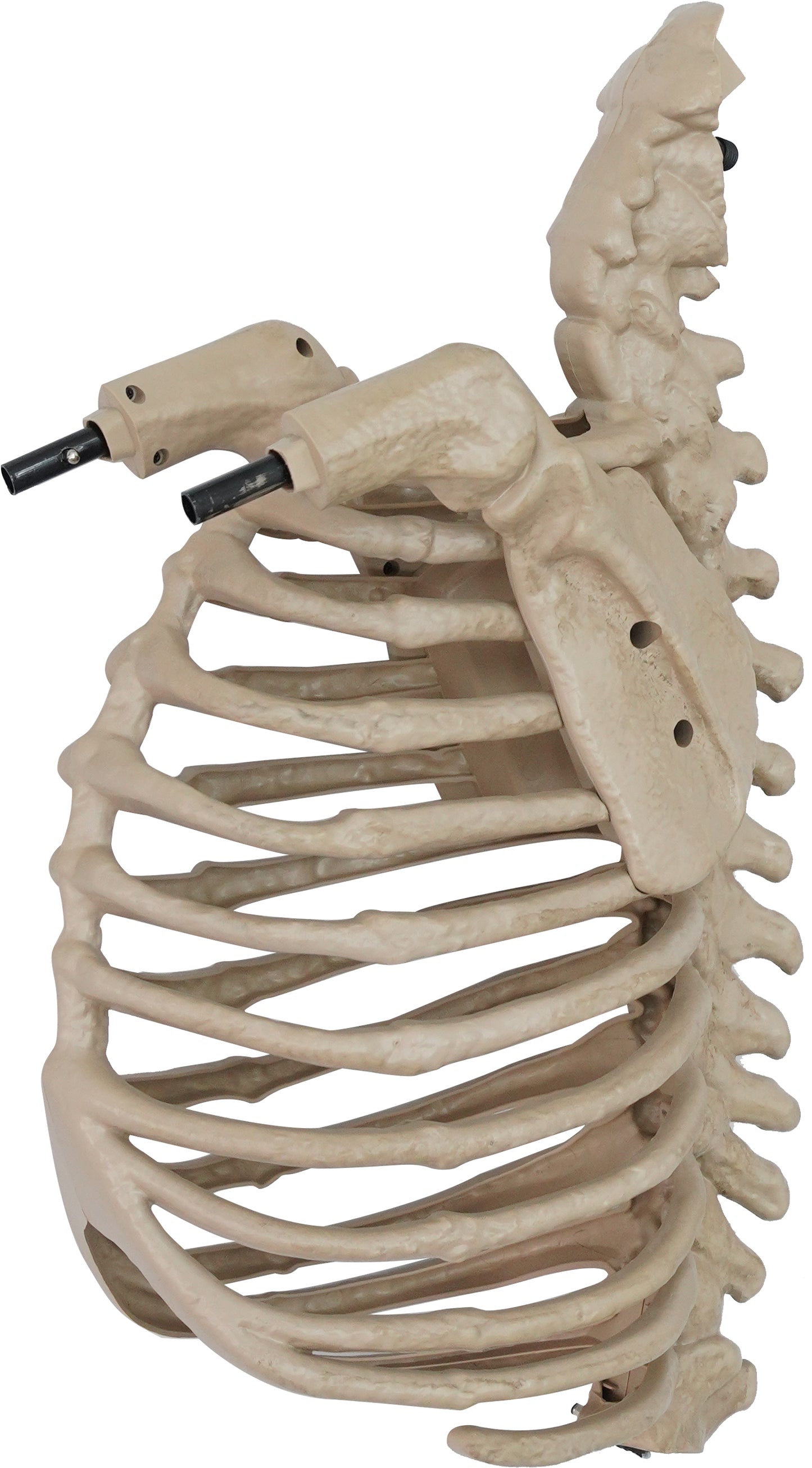 5 ft. LED Skelly's Cat