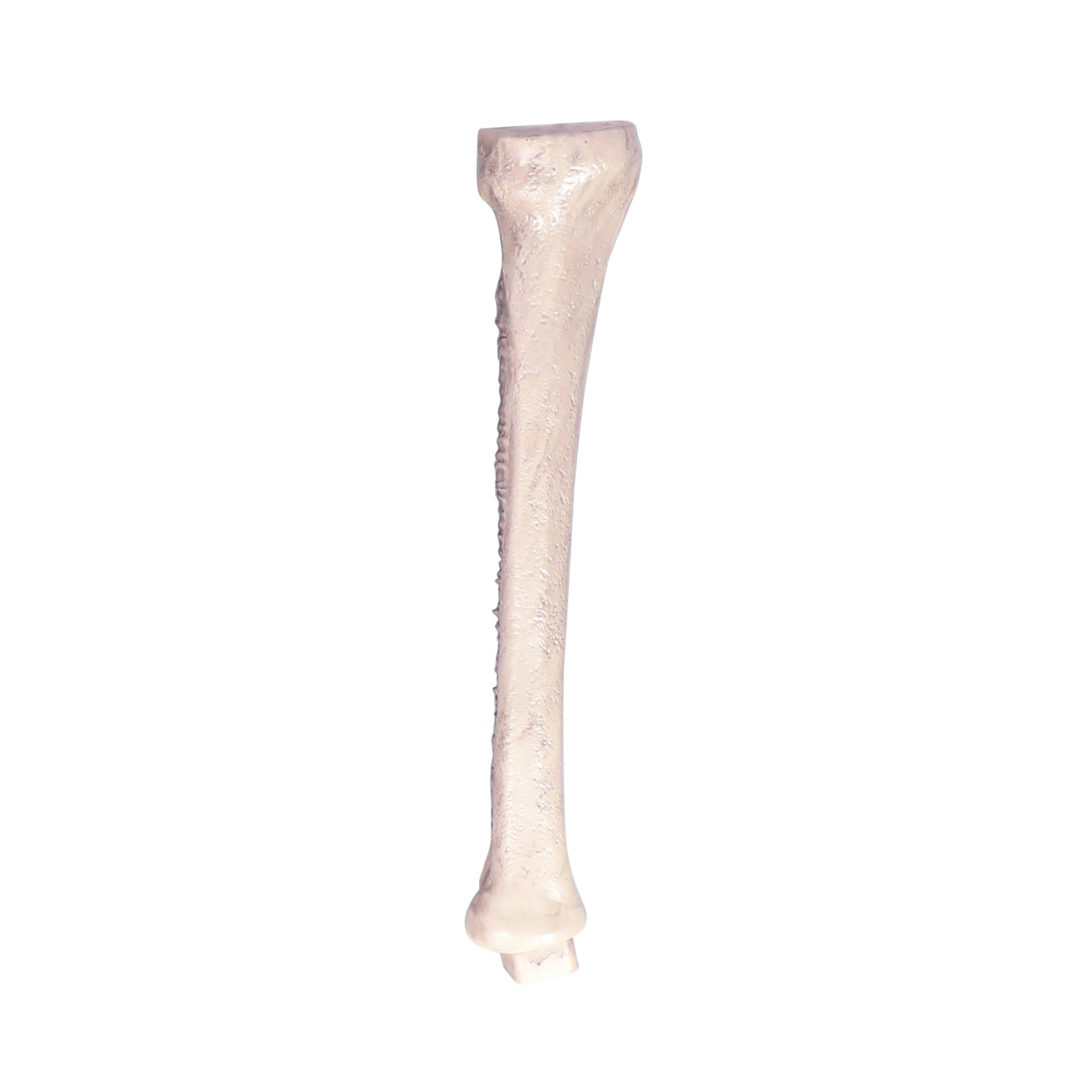 8 ft. Giant Animated Skeleton