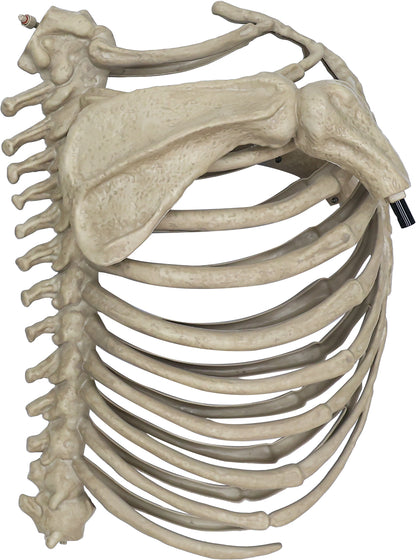 5.5 ft. Skelly's Sitting Dog with LCD Eyes