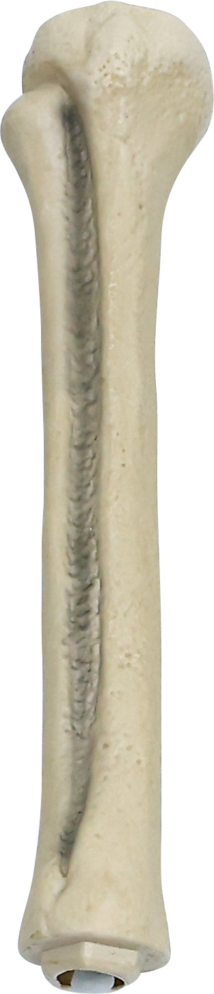 6.5 ft. Animated App Controlled Ultra Skelly