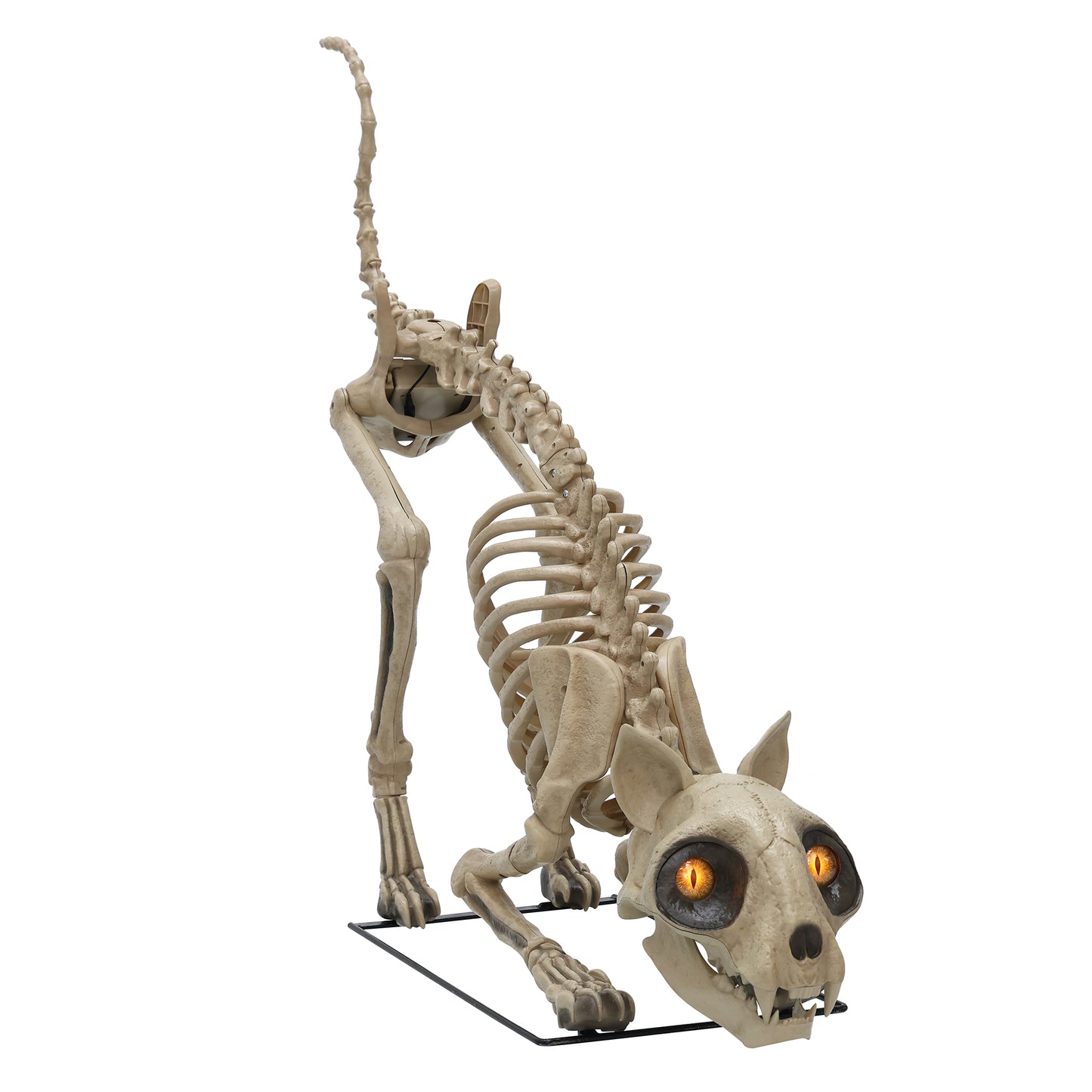 5 ft. LED Skelly's Cat