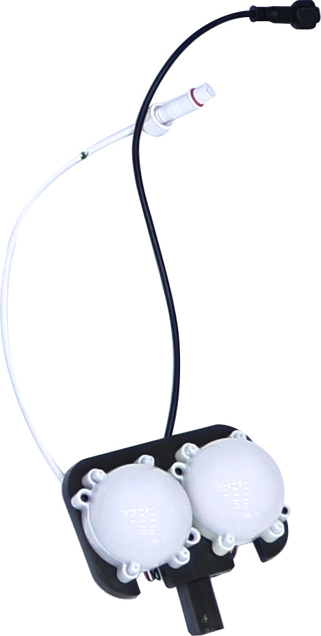 9.5 ft. Horrifying Hickory