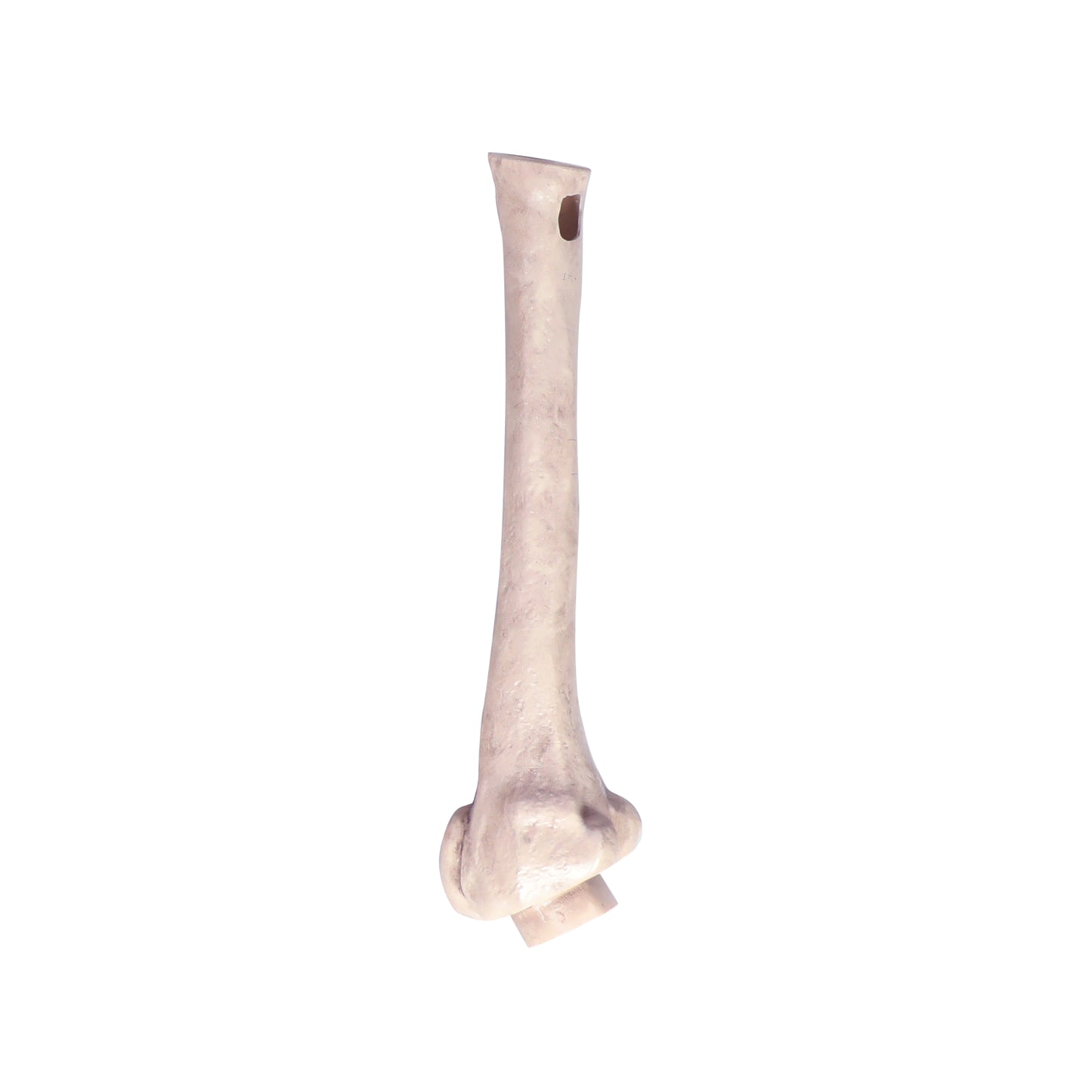 8 ft. Giant Animated Skeleton