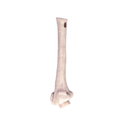 8 ft. Giant Animated Skeleton
