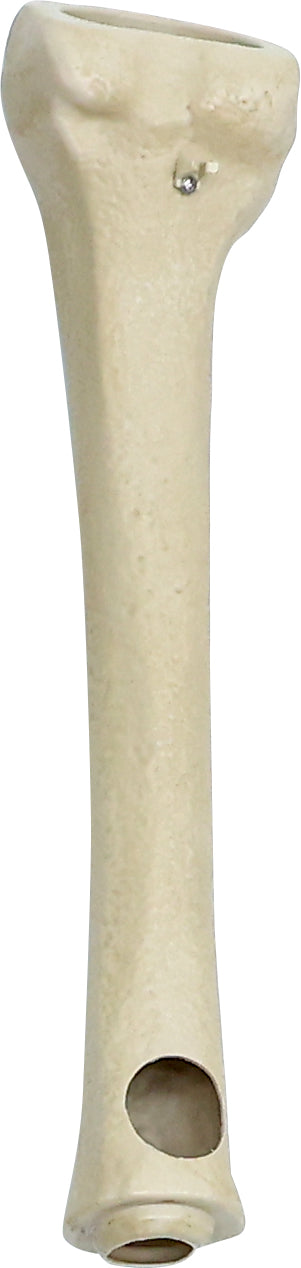 6.5 ft. Animated App Controlled Ultra Skelly