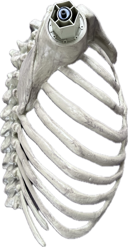 12 ft. Servo Skelly