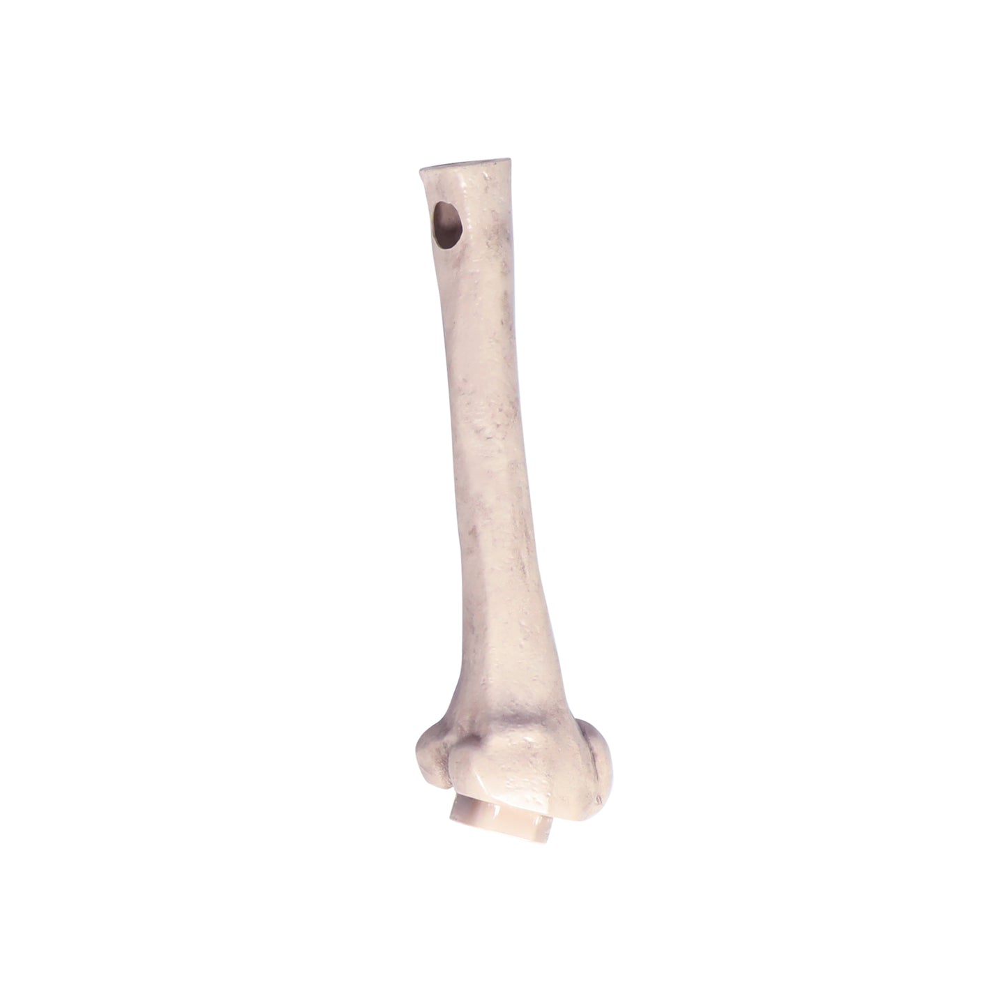 8 ft. Giant Animated Skeleton