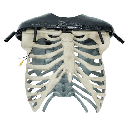 10 ft. Skeleton Arch
