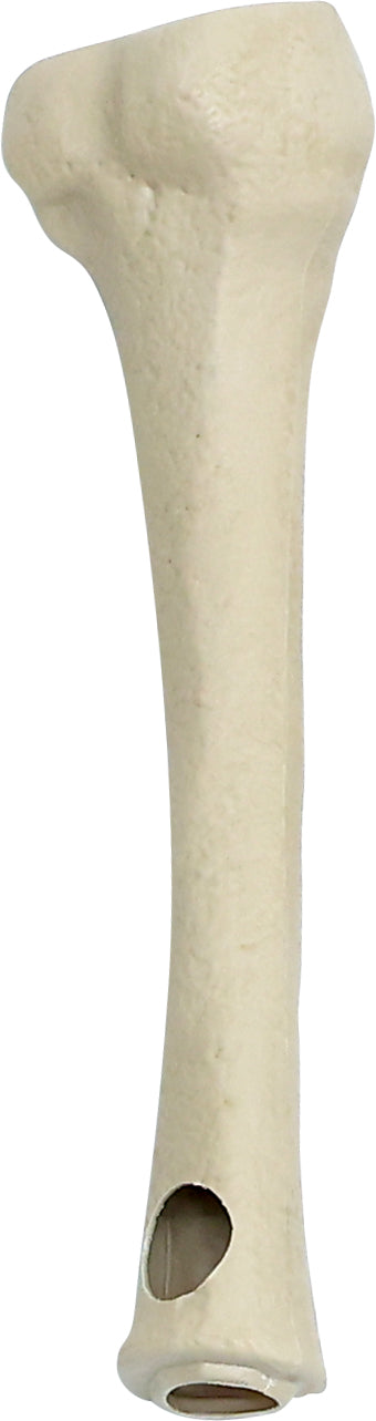 6.5 ft. Animated App Controlled Ultra Skelly