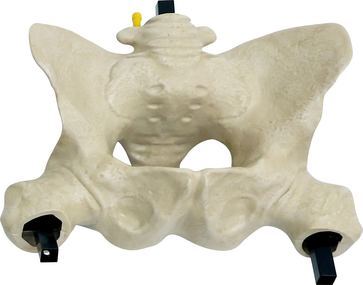 6.5 ft. Animated App Controlled Ultra Skelly