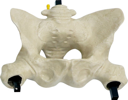 6.5 ft. Animated App Controlled Ultra Skelly