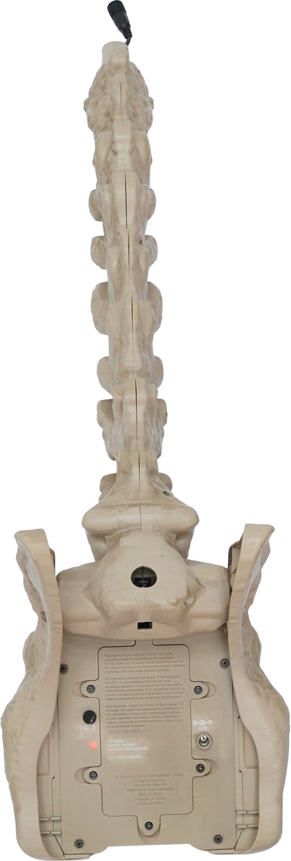 5 ft. LED Skelly's Cat