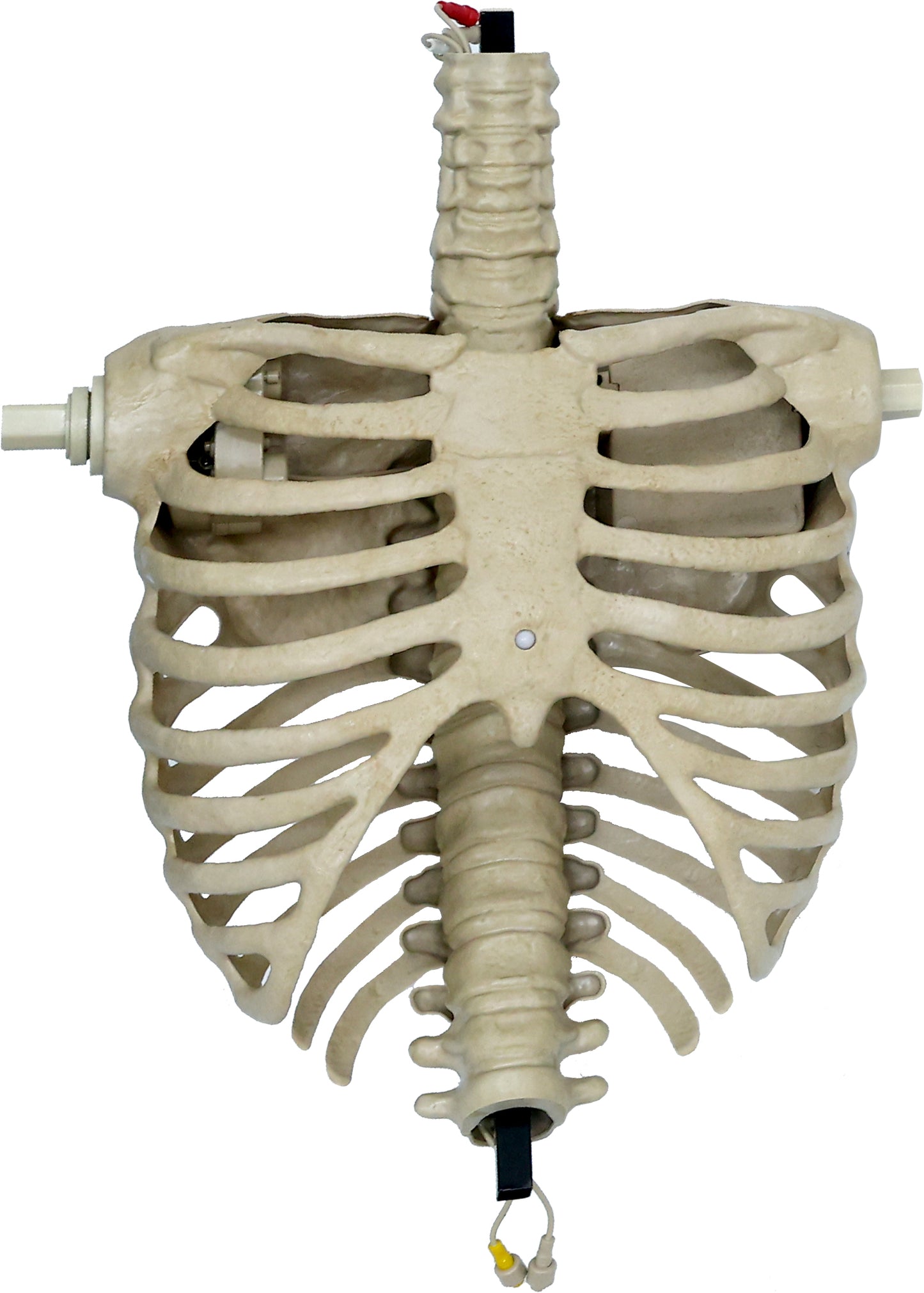 6.5 ft. Animated App Controlled Ultra Skelly