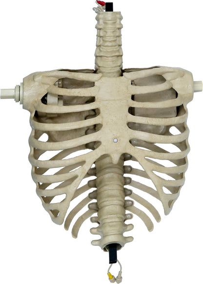 6.5 ft. Animated App Controlled Ultra Skelly