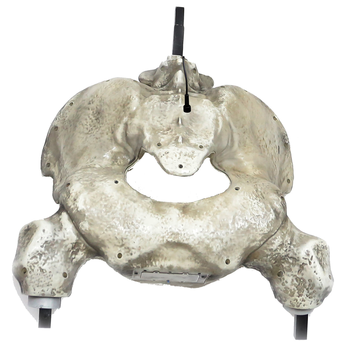 12 ft. Giant-Sized Skelly 2.0