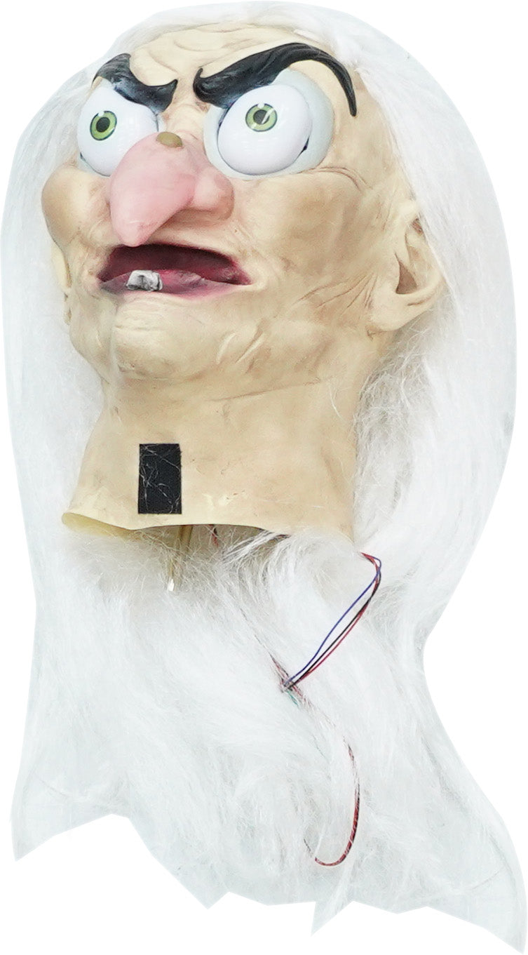 5.5 ft. Animated LED Evil Queen