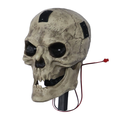 7 ft. Animated LED Macabre Witch