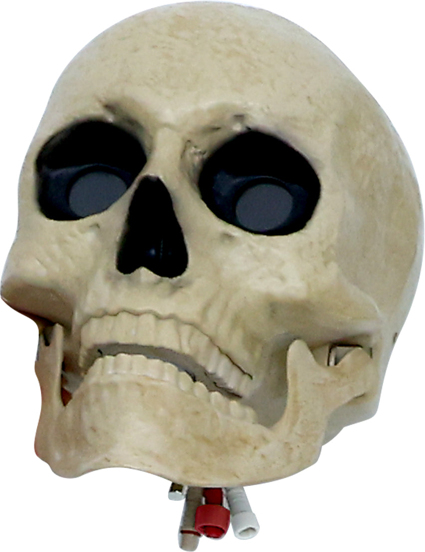 6.5 ft. Animated App Controlled Ultra Skelly – SVI Service
