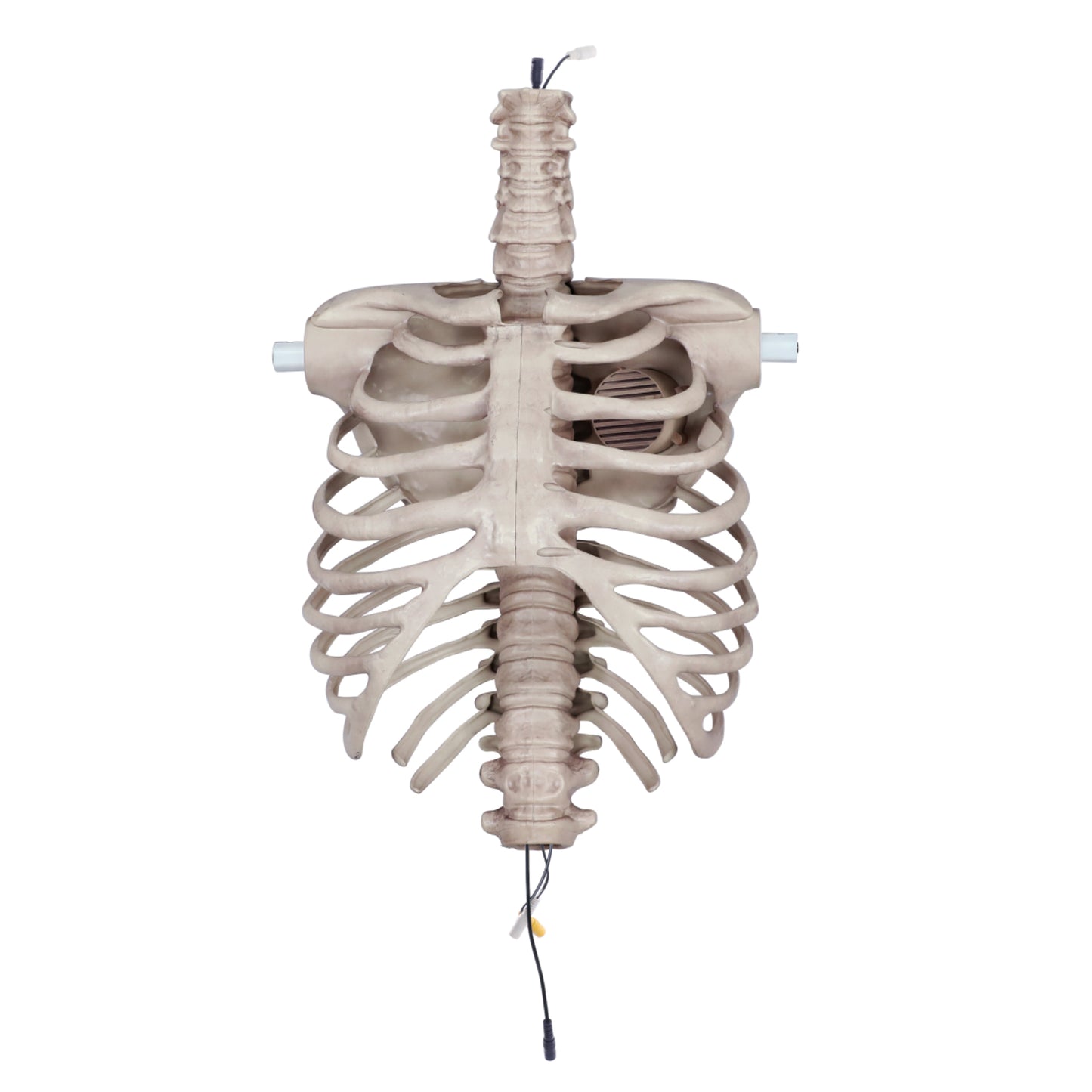 8 ft. Giant Animated Skeleton