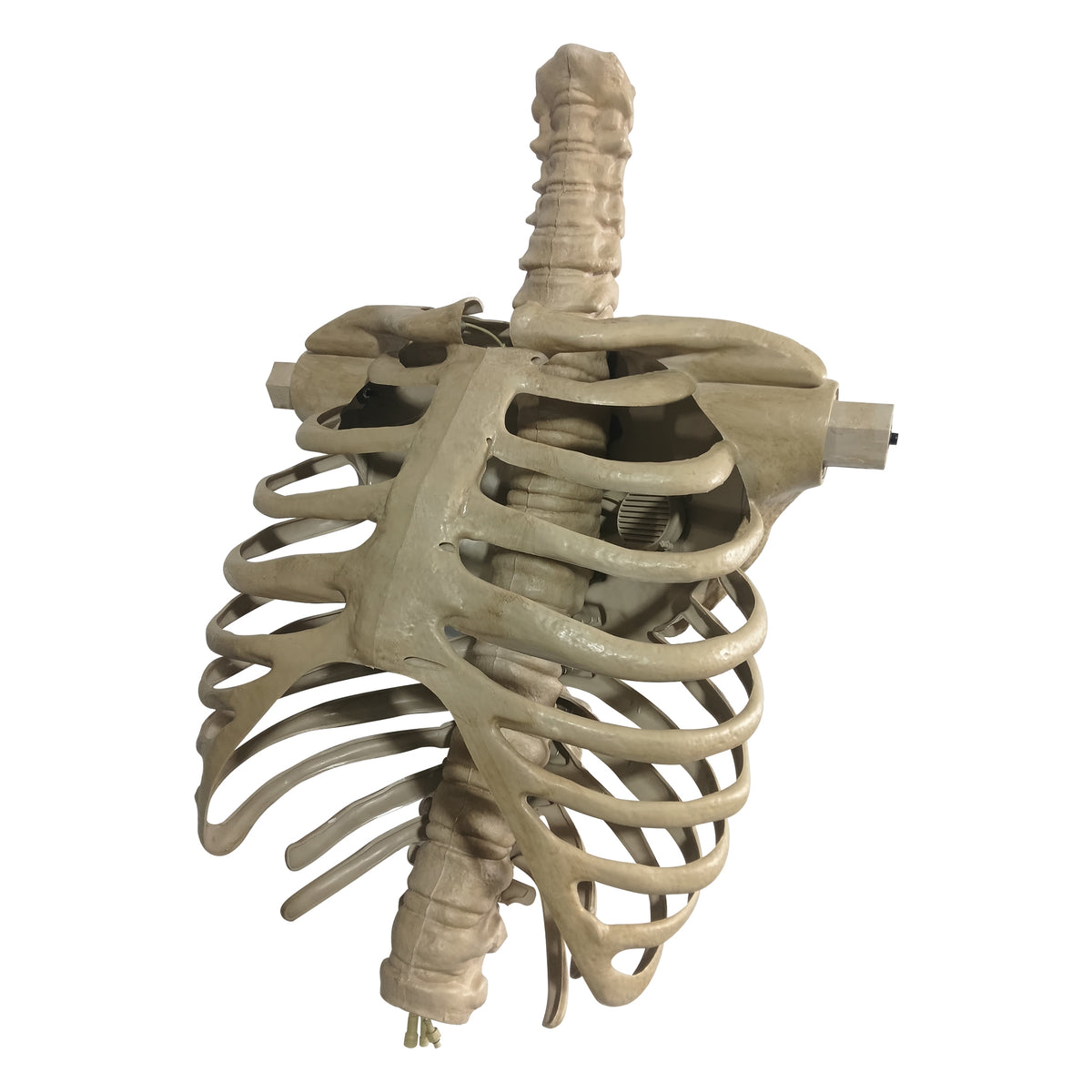 12 ft. Giant-Sized Animated LED App Controlled Skelly