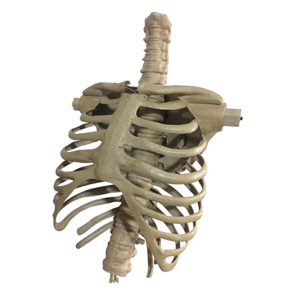 12 ft. Giant-Sized Animated LED App Controlled Skelly