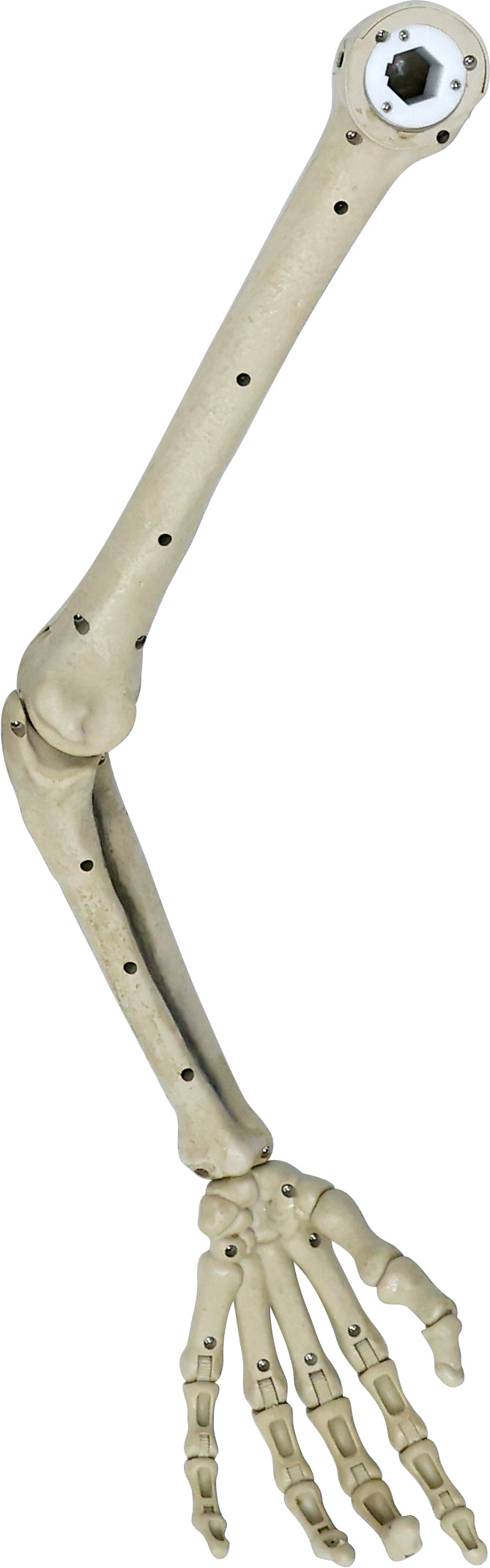 6.5 ft. Animated App Controlled Ultra Skelly