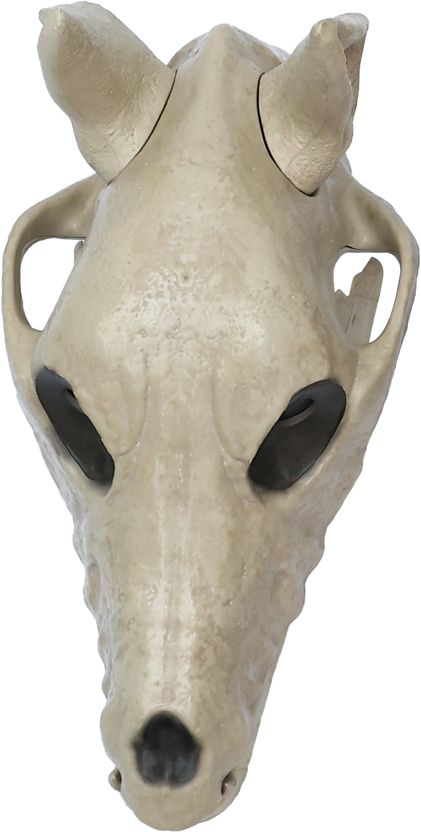 5.5 ft. Skelly's Sitting Dog with LCD Eyes