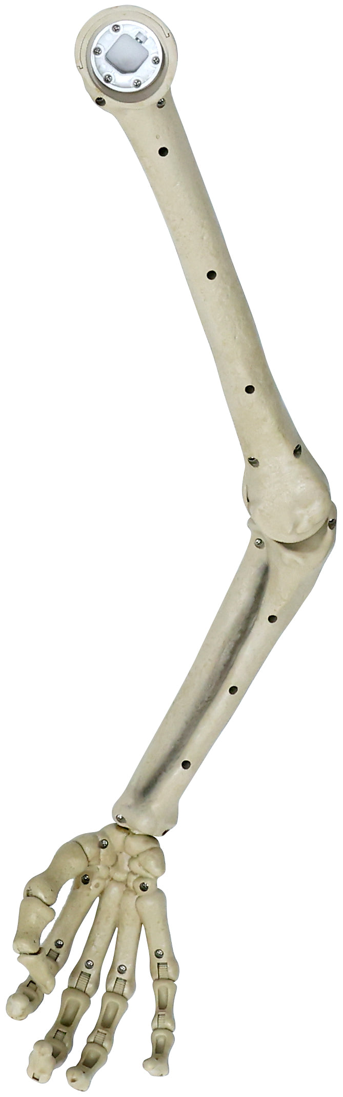 6.5 ft. Animated App Controlled Ultra Skelly – SVI Service