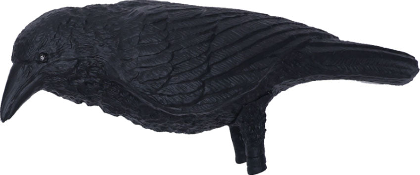 7.5 ft. Animated Nightshade Witch with LCD Eyes