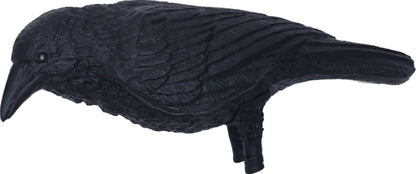 7.5 ft. Animated Nightshade Witch with LCD Eyes